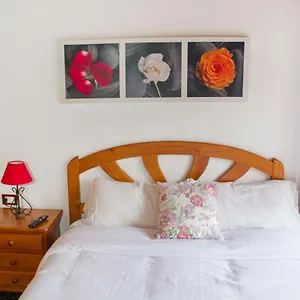 https://brisas-de-anaga-santa-cruz-de-tenerife.tenerifehoteles.net